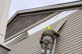 Best Aluminum Siding Installation  in Santa Anna, TX